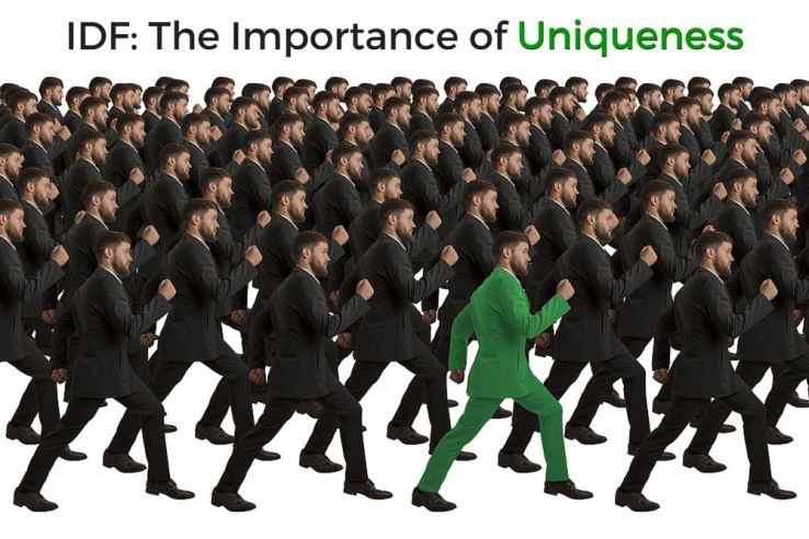 Inverse Document Frequency and the Importance of Uniqueness